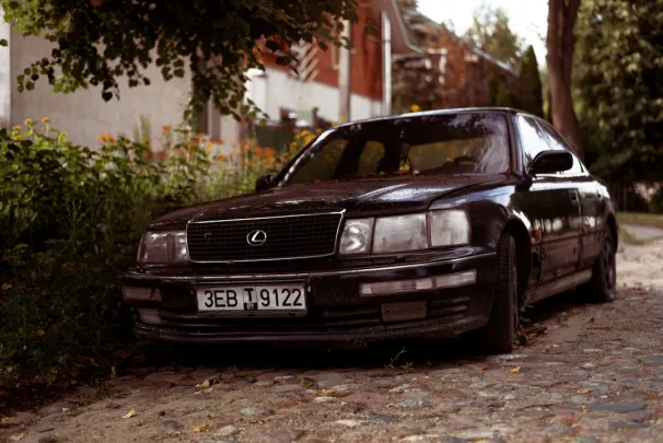 Casino Jackpot Molly Android/iOS Forrit